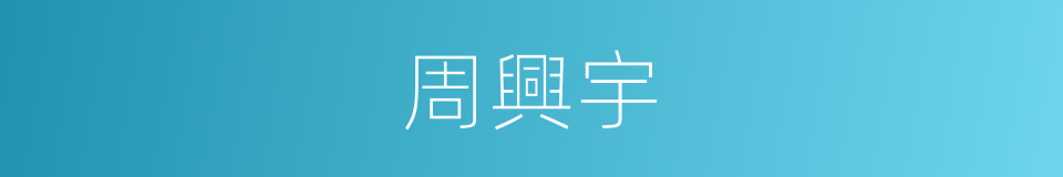 周興宇的同義詞