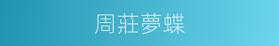 周莊夢蝶的意思