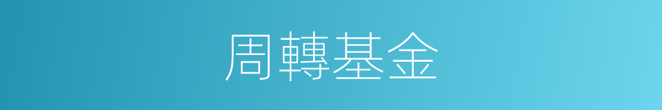 周轉基金的同義詞
