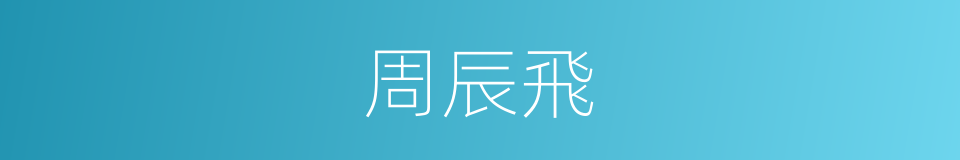 周辰飛的同義詞
