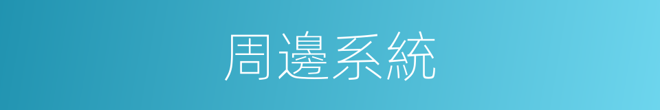 周邊系統的同義詞