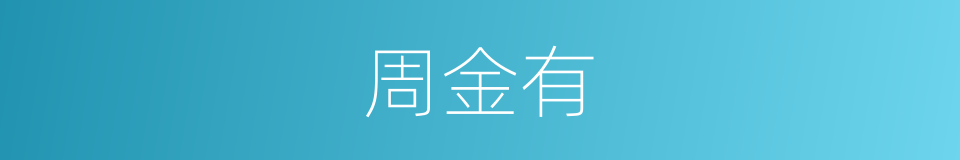 周金有的同义词