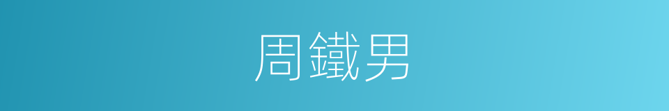 周鐵男的同義詞