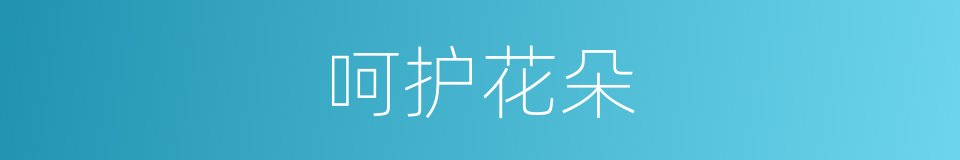 呵护花朵的同义词