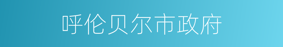 呼伦贝尔市政府的同义词
