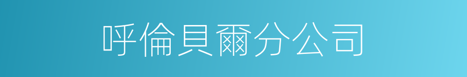 呼倫貝爾分公司的同義詞