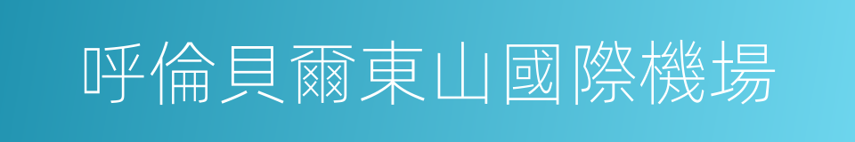 呼倫貝爾東山國際機場的同義詞