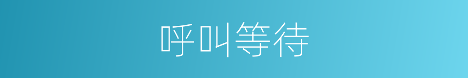 呼叫等待的意思
