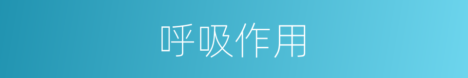 呼吸作用的同义词