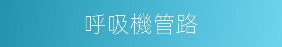 呼吸機管路的同義詞
