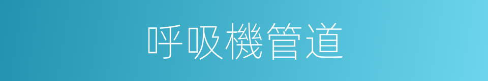 呼吸機管道的同義詞