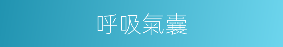 呼吸氣囊的同義詞