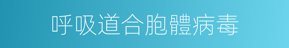 呼吸道合胞體病毒的同義詞