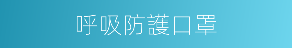 呼吸防護口罩的同義詞