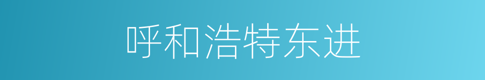 呼和浩特东进的同义词