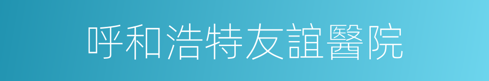 呼和浩特友誼醫院的同義詞
