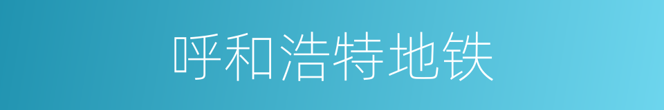 呼和浩特地铁的同义词