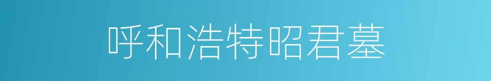 呼和浩特昭君墓的同义词