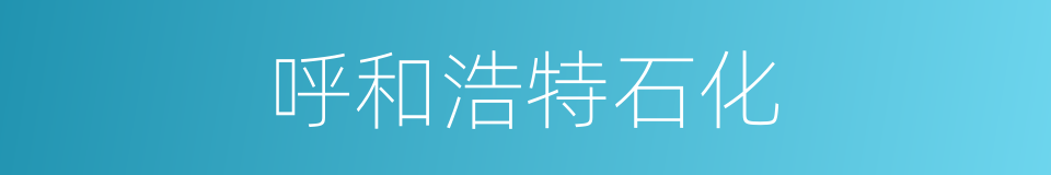呼和浩特石化的同义词