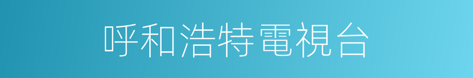 呼和浩特電視台的同義詞