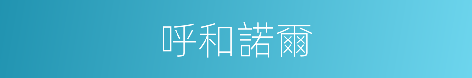 呼和諾爾的同義詞