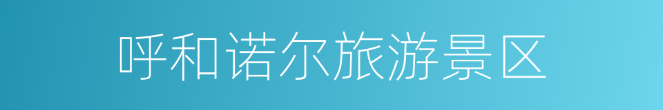 呼和诺尔旅游景区的同义词