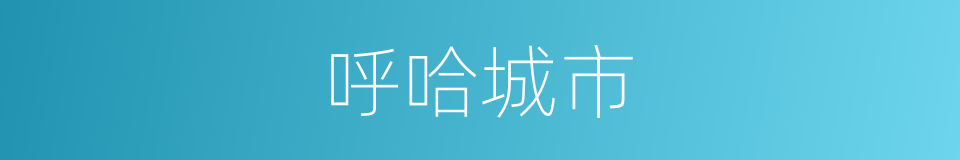 呼哈城市的同义词