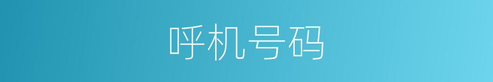 呼机号码的同义词