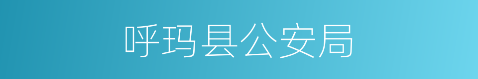 呼玛县公安局的同义词