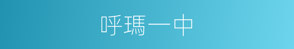 呼瑪一中的同義詞