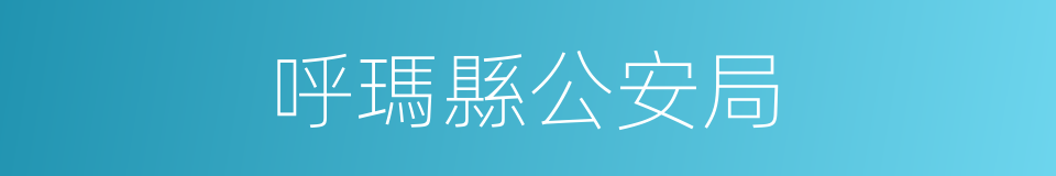 呼瑪縣公安局的同義詞