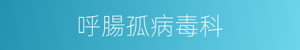 呼腸孤病毒科的同義詞