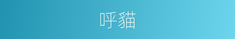 呼貓的同義詞