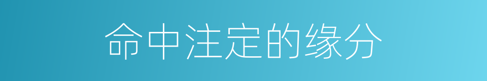 命中注定的缘分的同义词