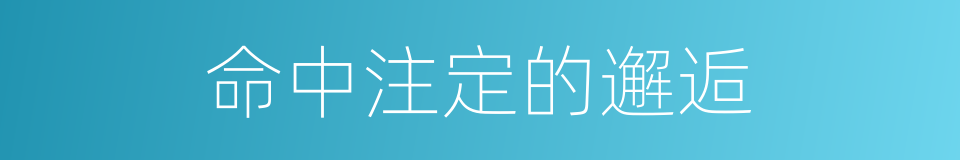 命中注定的邂逅的同义词