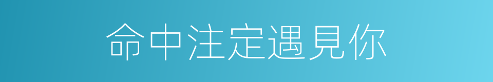 命中注定遇見你的同義詞