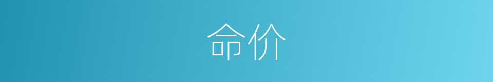 命价的意思