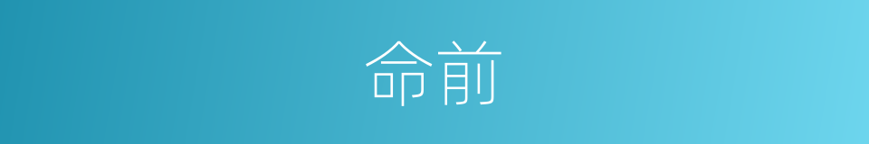 命前的同义词