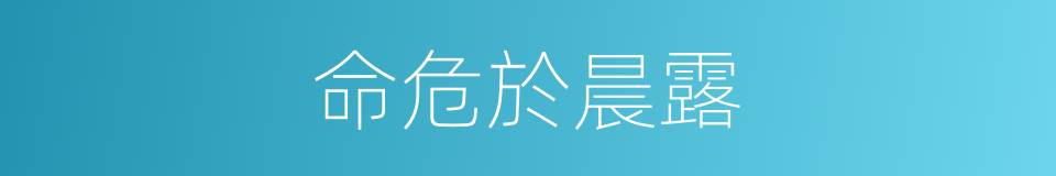 命危於晨露的同義詞
