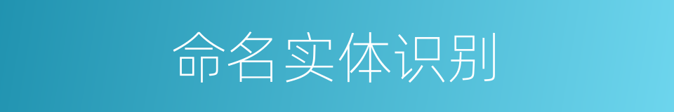 命名实体识别的同义词