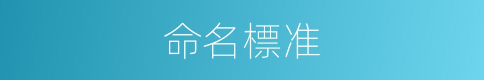 命名標准的同義詞