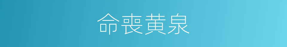 命喪黄泉的意思