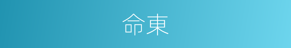 命東的同義詞
