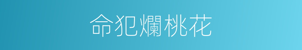 命犯爛桃花的同義詞