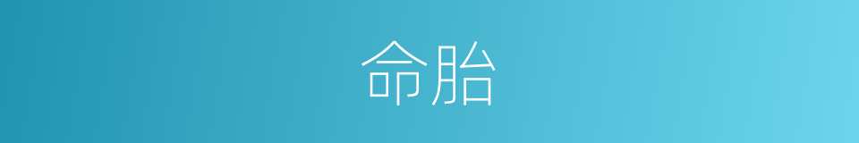 命胎的同义词
