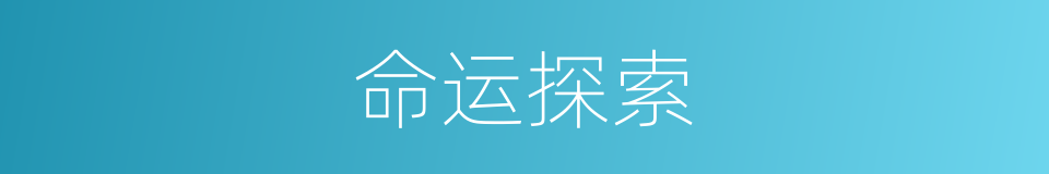 命运探索的同义词