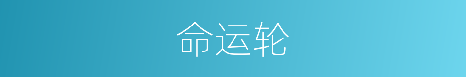 命运轮的同义词