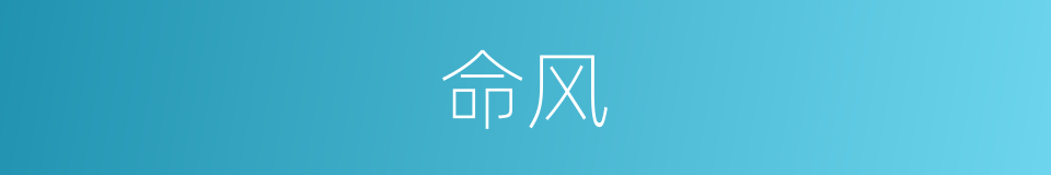 命风的意思