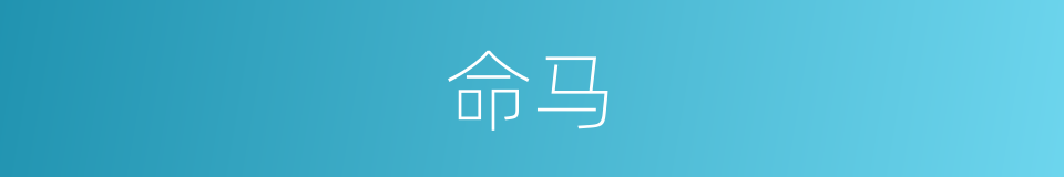 命马的同义词