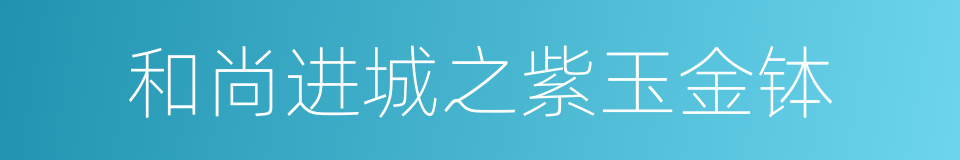 和尚进城之紫玉金钵的同义词